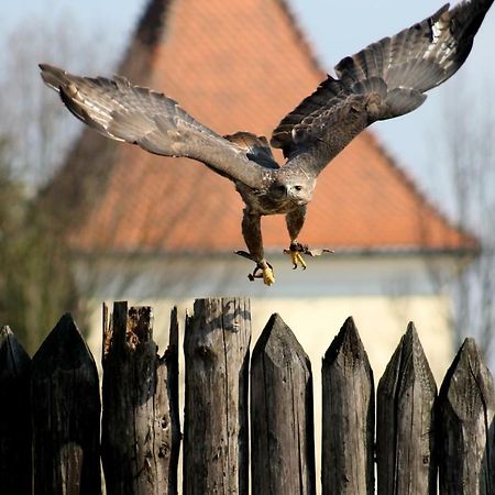 Penzion Melodia Kanianka Zewnętrze zdjęcie
