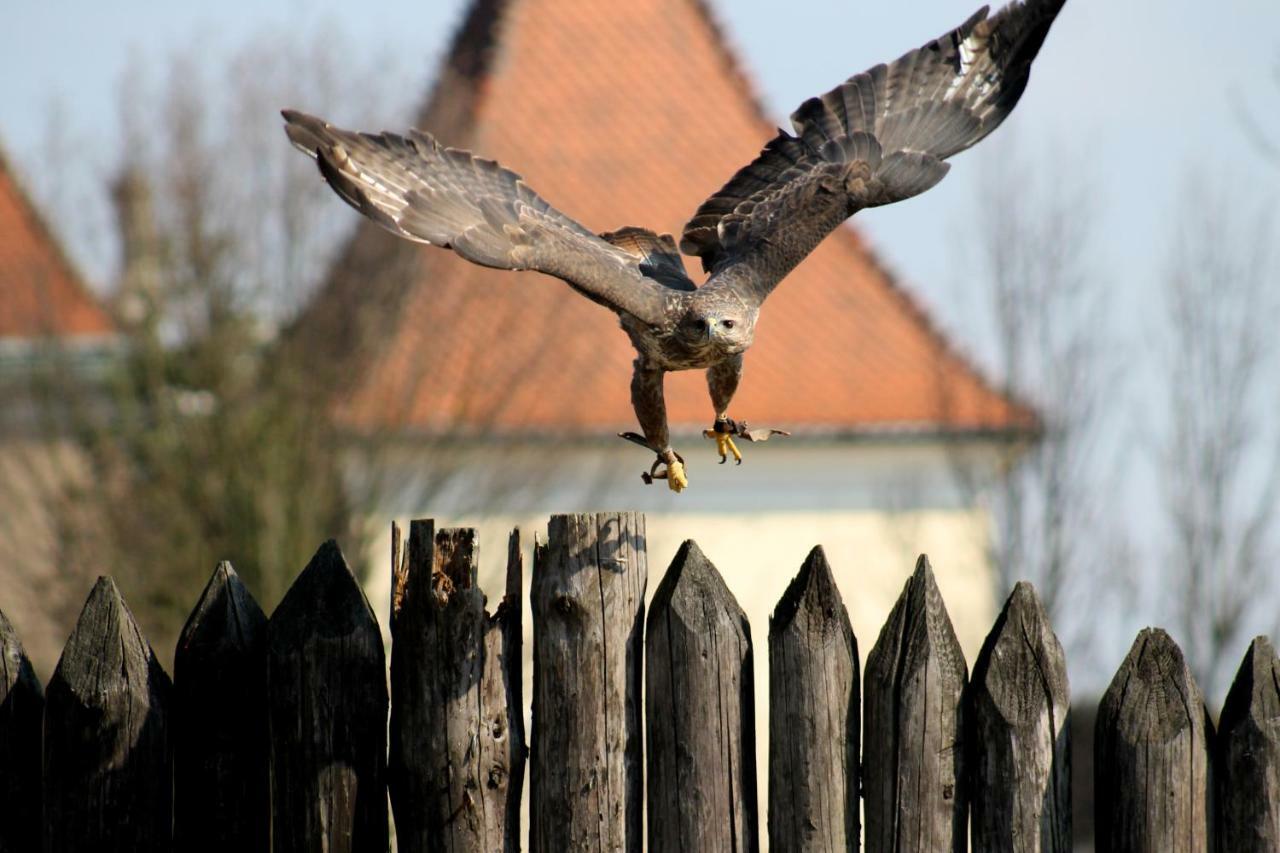 Penzion Melodia Kanianka Zewnętrze zdjęcie